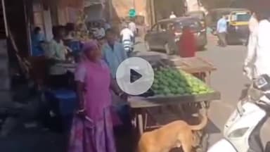 अजमेर: मदार गेट के बाहर ठेला चोरी की वारदात पर अभय कमांड के कैमरे की निगरानी पर उठे सवाल