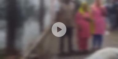 बागपत: बली गांव में करंट लगने से एक घोड़े की मौत, मालिक बाल-बाल बचा, ग्रामीणों ने डीएम से मुआवजा दिलवाने की लगाई गुहार