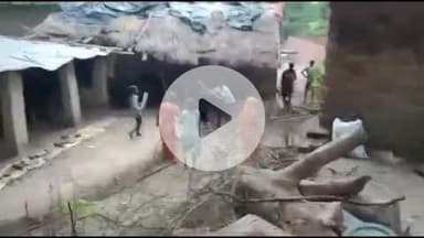 मंझनपुर: रिश्तेदारों ने महिला को जमकर मारा-पीटा, घर पर किया कब्जा, पुलिस ने थाने से भगाया, एसपी से मंझनपुर महिला ने की शिकायत