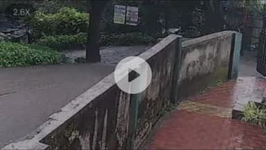 नाशिक: नाशिकच्या बेंडकुळे मळ्याजवळ बिबट्याचा मुक्त संचार घटना सीसीटीव्ही कॅमेऱ्यात कैद