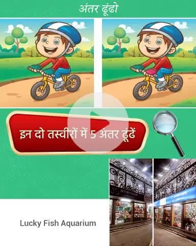 lucky fish aquarium and bicycle studio Bina