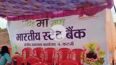 कटनी नगर: 'एक पेड़ माँ के नाम' अभियान के तहत 1200 पौधे रोपे गए, झिंझरी नगर वन में हुआ आयोजन