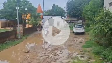 झांसी: नन्दनपुरा मुक्ति धाम से आल्हाघाट मंदिर तक सड़क बनाने की मांग स्थानीय लोगों ने जिले के उच्च अधिकारियों से की