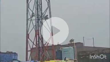 बारां: शहर के चोमुखा बाजार, लालबाई चौक, मालादेवी मोहल्ले में फिर लाल मुंह वाले बंदरों का आतंक, शहर में दहशत का माहौल