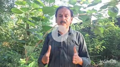 संभल: बाढ़ से बचाव के लिए सभी इंतजाम पूरे, जिला कलेक्टर राजेंद्र पैसिया ने दी जानकारी