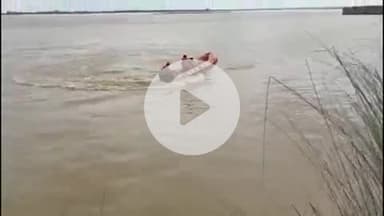 करनैलगंज: घाघरा नदी का लगातार बढ़ रहा है जलस्तर, एडीएम ने कहा- जिला प्रशासन पूरी तरह अलर्ट है