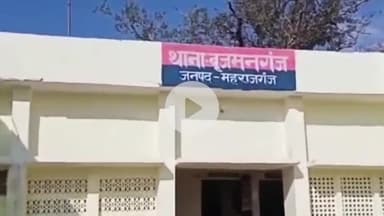 फरेंदा: बृजमनगंज क्षेत्र में हरे पेड़ काटने के मामले में आरोपी को सुनाई गई सजा