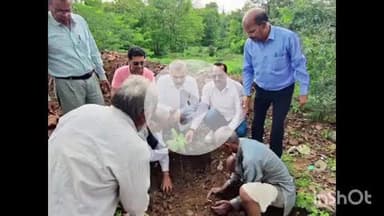 नरसिंहगढ़: विधायक प्रतिनिधि व भाजपा कार्यकर्ताओं ने 300 पौधे लगाए