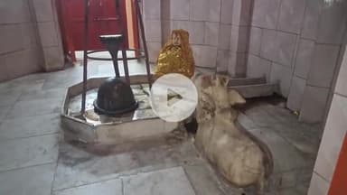 कन्नौज: कन्नौज शहर के मोहल्ला ग्वान मैदान में भगवान शंकर का पुराना मंदिर, दूर-दूर से भक्त शिवलिंग के दर्शन करने आते हैं