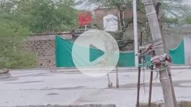 कौए का डाल दाना तो होती है मनोकामना पूर्ण जी हा बताया जाता है कि कौआ मेहमानों को आमंत्रित करता है।