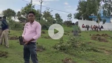 चांद: चांद नगर के मोक्ष धाम में पर्यावरण संरक्षण के लिए 200 पौधों का रोपण किया गया