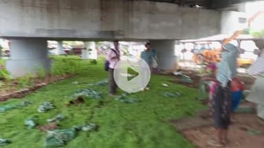 Ranchi रातू रोड फ्लाईओवर के नीचे सजावटी हरयाली पौधों से सुन्दरता लाया जा रहा है l तीन जुलाई को उद्घाटन है