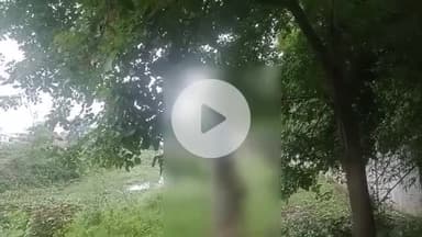 गोपद बनास: सीधी शहर के सूखा नाला के पास एक व्यक्ति ने अज्ञात कारणों से फांसी लगाई, पुलिस जांच में जुटी