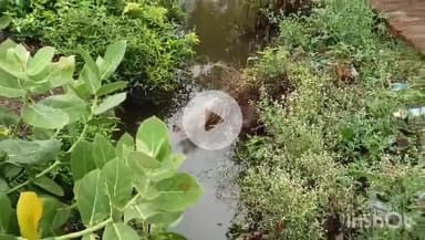 उरई: उरई के राठ रोड में नशे की हालत में वृद्ध नाले में गिरा, डूबने से हुई मौत, मौके पर पहुंची पुलिस