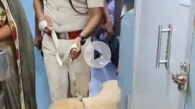 कांके: रांची: मुरी रेलवे स्टेशन पर आरपीएफ ने डॉग स्क्वाड के साथ चलाया सघन जांच अभियान