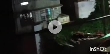 मुंगेर: शंकरपुर गांव में वर्चस्व को लेकर हुई गोलीबारी और मारपीट, वीडियो वायरल