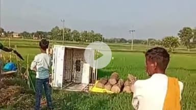 फरेंदा: रामनगर में सागौन की लकड़ी से भरी पिकअप खेत में पलटी, वन विभाग की टीम ने लकड़ी को किया जब्त