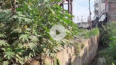 रामपुर: पहाड़ी गेट के मुख्य नाले की पिछले कई वर्षों से नहीं हुई सफाई, लोग परेशान #jansamasya