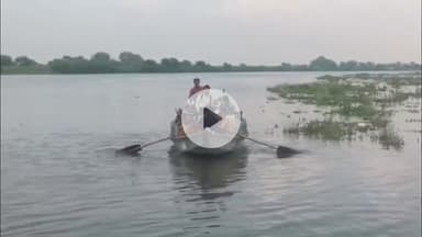 मथुरा: वृंदावन में यमुना से हटाया गया पांटून पुल, ग्रामीण जान जोखिम में डालकर कर रहे नदी पार