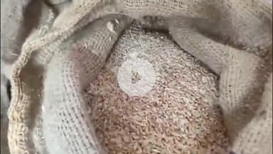 बाढ़: बाढ़ में जन-वितरण प्रणाली की दुकान में घटिया चावल की आपूर्ति से जनता और डीलर नाराज़