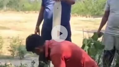 मिलक: डुंढई गाँव की शमशान भूमि पर घाटा संख्या 162 के 696 हैक्टेयर जमीन से अवैध कब्जा हटाकर एसडीएम सदर ने किया कब्जामुक्त