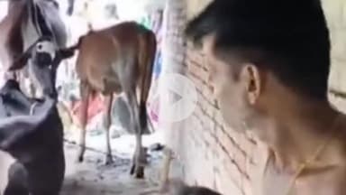 दरभंगा: भवानीपुर पंचायत में बिजली के करंट से बीए के छात्र की मौत