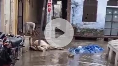 लाडपुरा: बरसात के चलते डकनिया स्टेशन के निकट सूर्य नगर में खंभे में करंट आने से गोवंश की मौत, लोगों में रोष