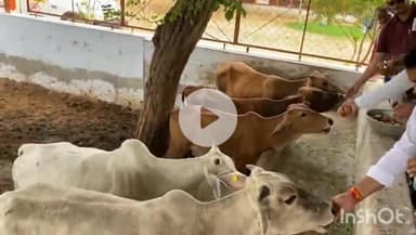 चूरू: भाजपा प्रदेश अध्यक्ष मदन राठौड़ का जन्मदिन मनाया गया, चूरू विधायक हरलाल सहारण ने भी मनाया जन्मदिन