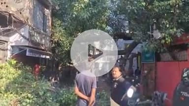 बहराइच: ब्राह्मणीपुरा इलाके में गणेश पूजा स्थल के पास बारिश के बाद गिरा विशालकाय पेड़, विद्युत सप्लाई हुई बाधित