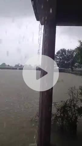 rewa (m. p.) ke madri gaon me 3 ghante se lagatar ho rahi hai barish..... #rewa
#m.p.
#madri