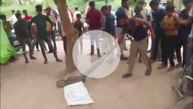 फिरोज़ाबाद: गांव गढ़ी तिवारी इलाके में विशालकाय अजगर निकलने से लोगों में मचा हड़कंप