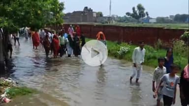 मथुरा: नगर निगम के वार्ड नंबर 33 के रास्ते में जल भराव से स्थानीय लोग परेशान महिलाओं ने नगर निगम के खिलाफ लगाए नारे #जनसमस्या