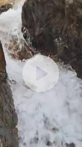 Lost in the rhythm of the water and the beauty of nature. Soaking it all in! 🌿💧 #NatureLover #WaterfallVibes