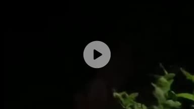 अमरोहा: अमरोहा के रजबपुर थाना क्षेत्र में चोरों की आहट से ग्रामीण परेशान, जागकर काट रहे रात