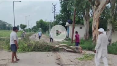 बड़ौत: दोघट में हाईटेंशन लाइन पर पेड़ आने से बाधित हुई विद्युत आपूर्ति को लाइनमैनों ने पेड़ कटवाकर किया सुचारू