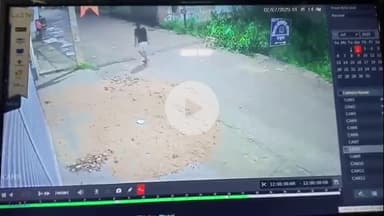 लोहरदगा: शहरी क्षेत्र के साइडिंग कुटमू में चोर किसान की दुधारू गाय चोरी कर ले गए, वारदात सीसीटीवी में कैद