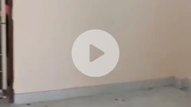 बेनीपुर: शिवराम एपीएचसी में बेहतर चिकित्सा के लिए एमबीबीएस डॉक्टर की तैनाती