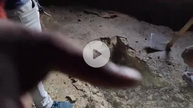 कप्तानगंज: कुशीनगर बटेसरा में घर बना नागलोक, सर्पमित्र ने 25 कोबरा के बच्चों और नागिन को जिंदा बचाया, सर्प मित्रों ने किया रेस्क्यू