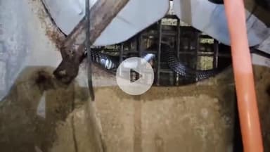 अजमेर: मिलिट्री स्कूल स्थित पंप हाउस के कूलर में 5 फीट लंबा कोबरा सांप मिला, रेस्क्यू के लिए नरेंद्र कुमार को दी गई जानकारी