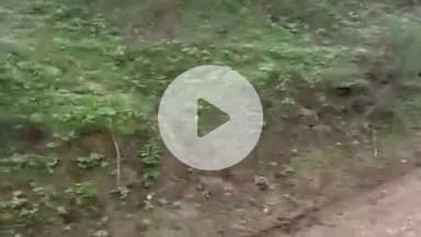 दीगोद: बूढादीत थाना इलाके की मंडावरा रोटेदा चंबल नदी की पुलिया पर आया 7 फीट तक पानी, आवागमन अवरुद्ध