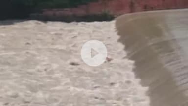 पूरनपुर: मटैना कॉलोनी हरदोई ब्रांच नहर में फंसा मिला अज्ञात युवती का शव, पुलिस निकालने का कर रही प्रयास