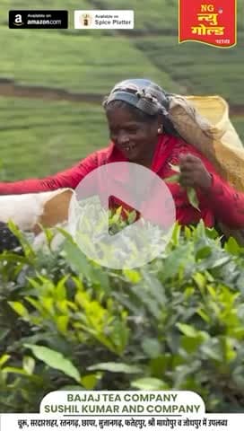 न्यूगोल्ड चाय चूरू
9999933910
#chai #shorts #tea #trending #viral