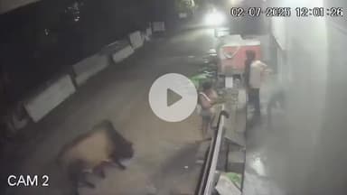 लाडपुरा: कोटा में सांडों का आतंक, सींगों से उठाकर एक युवक को फेंका, CCTV में कैद हुई घटना, कुन्हाड़ी के कृष्णा विहार की