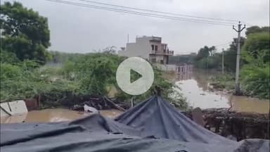 भिनाय: ग्राम पंचायत बाड़ी में तहसीलदार ने ग्रामीणों की समस्याएं सुनीं, 10 परिवाद में से 9 का मौके पर किया समाधान