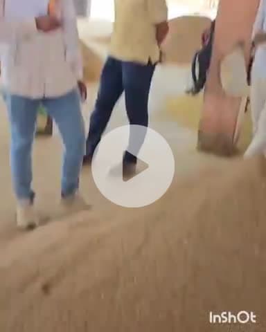 मेड़ता: मेड़ता कृषि उपज मंडी में शुक्रवार को जीरे के भाव में सुस्ती, रायड़े के भाव में आई तेजी