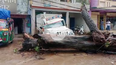 गुमला: रामनगर में खड़े पिकअप पर सूखा पेड़ गिरा, वाहन क्षतिग्रस्त, चालक बाल-बाल बचा