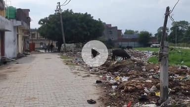 रामपुर: बमनपुरी के तालाब को बमनपुरी के बासिंदो ने कूड़े में तब्दील कर दिया अब तालाब से बीमारी फैलने की आशंका #jansamasya