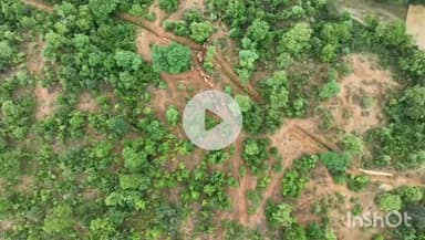 उदयपुर धरमजयगढ़: छाल रेंज में वन विभाग ने ड्रोन कैमरे से हाथियों के दल की निगरानी शुरू की