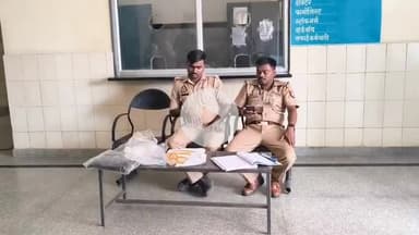 टेहरोली: पिपरा में सांप के काटने से एक किसान की मौत, परिजनों में मचा कोहराम