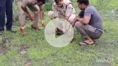 बमोरी: हरियाली महोत्सव के दौरान बमोरी थाना परिसर में पुलिस स्टाफ द्वारा वृक्षारोपण